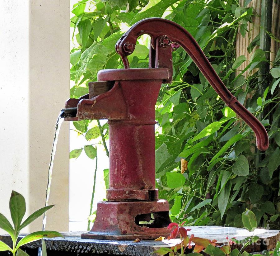 old-fashioned-water-pump-janice-drew